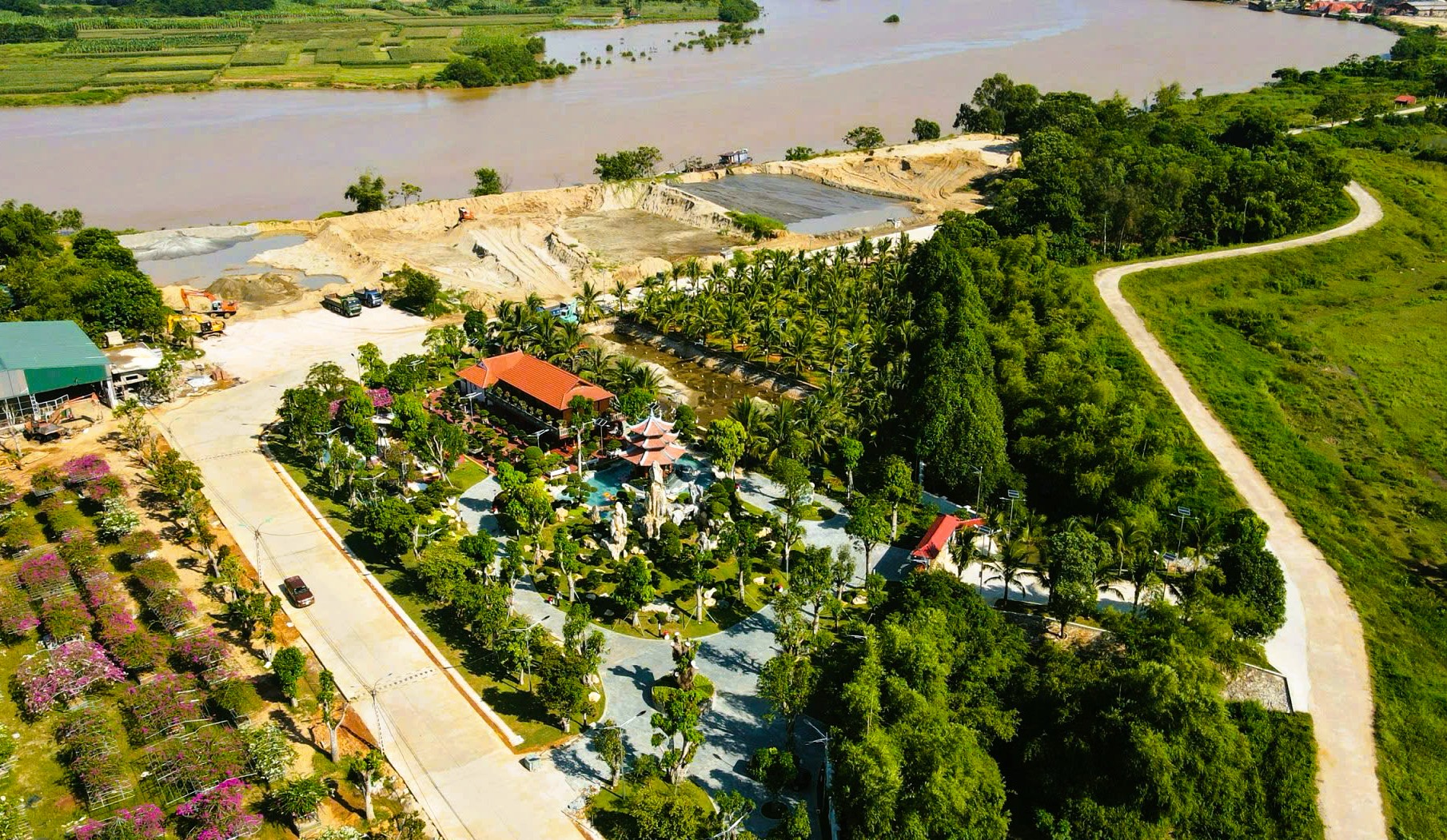 Sau Tuấn 