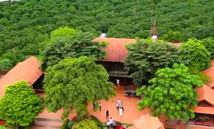 Sau Tuấn 