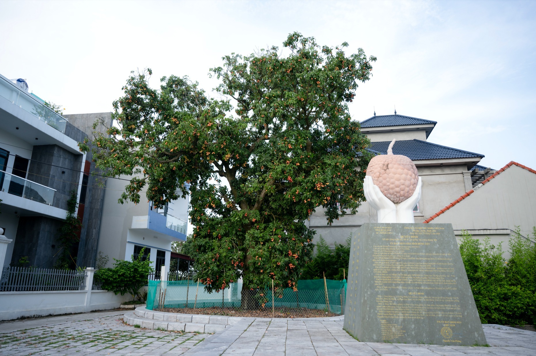 hung-yen-1.jpg