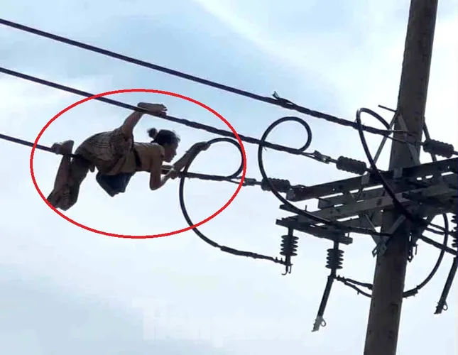 Người phụ nữ ‘diễn xiếc’ bò trên dây điện ở TPHCM ảnh 1