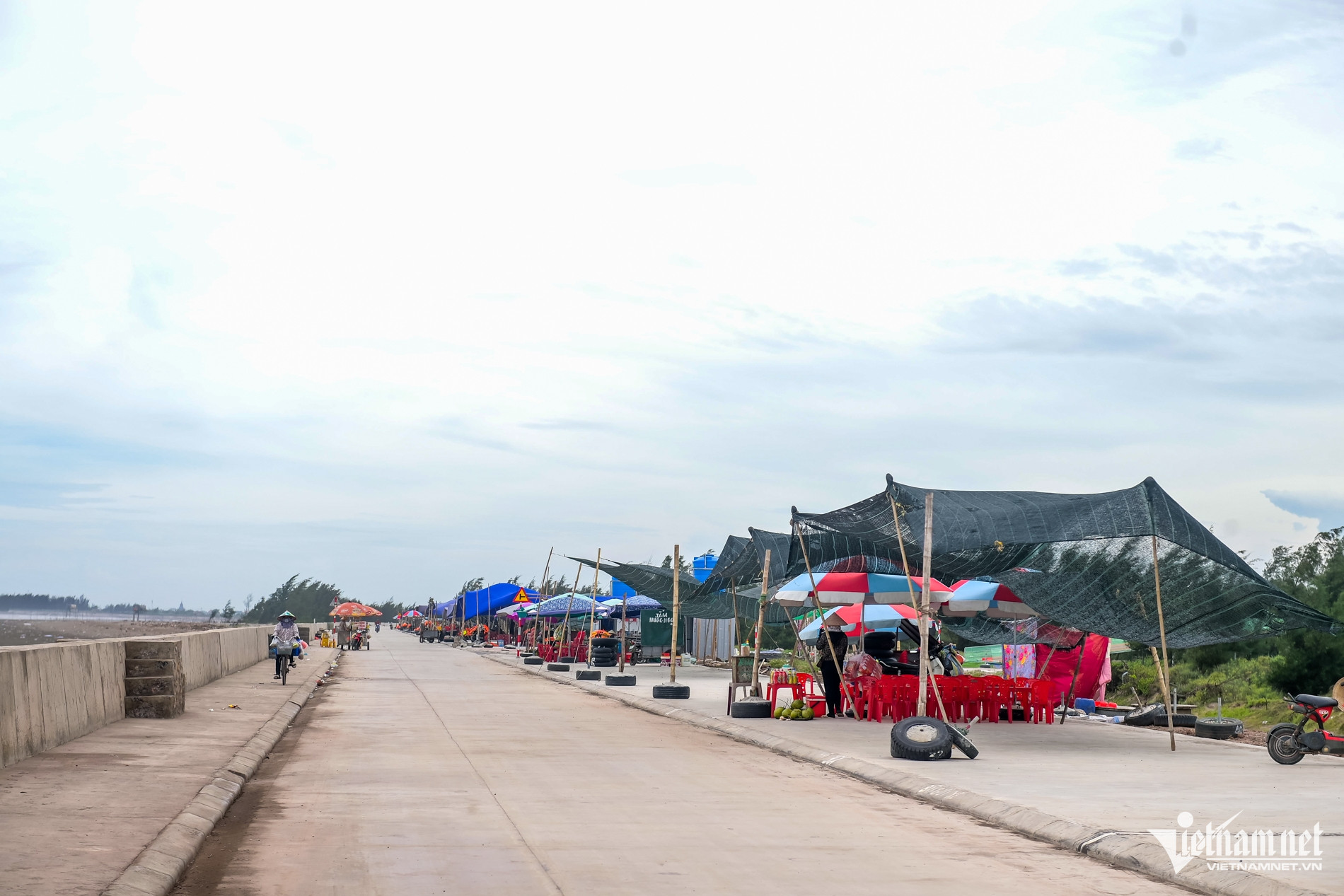 W-OK Quất lâm_1.jpg