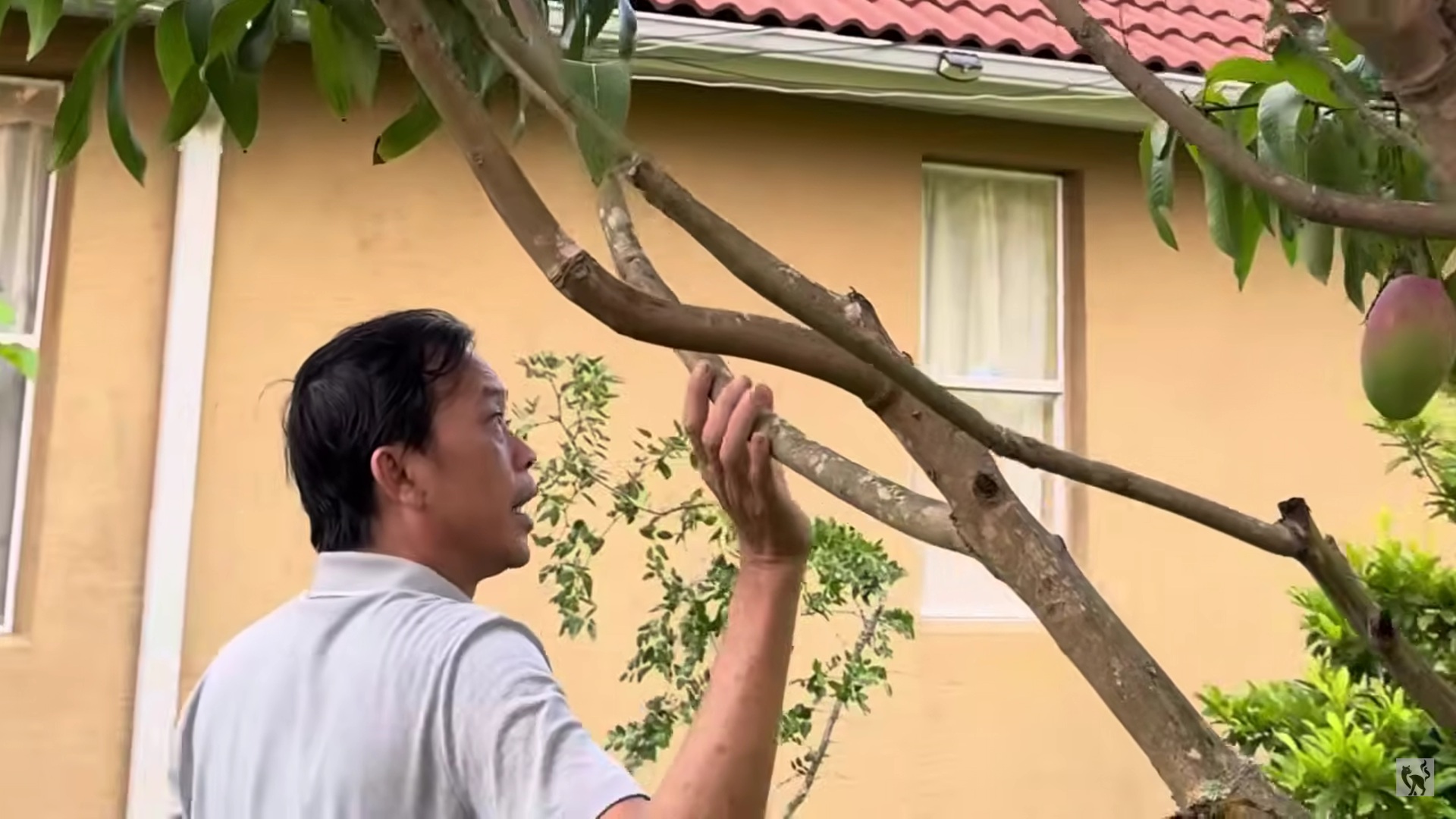 Hoài Linh thăm vườn biệt thự vài trăm m2 tại Mỹ, em trai nói: 