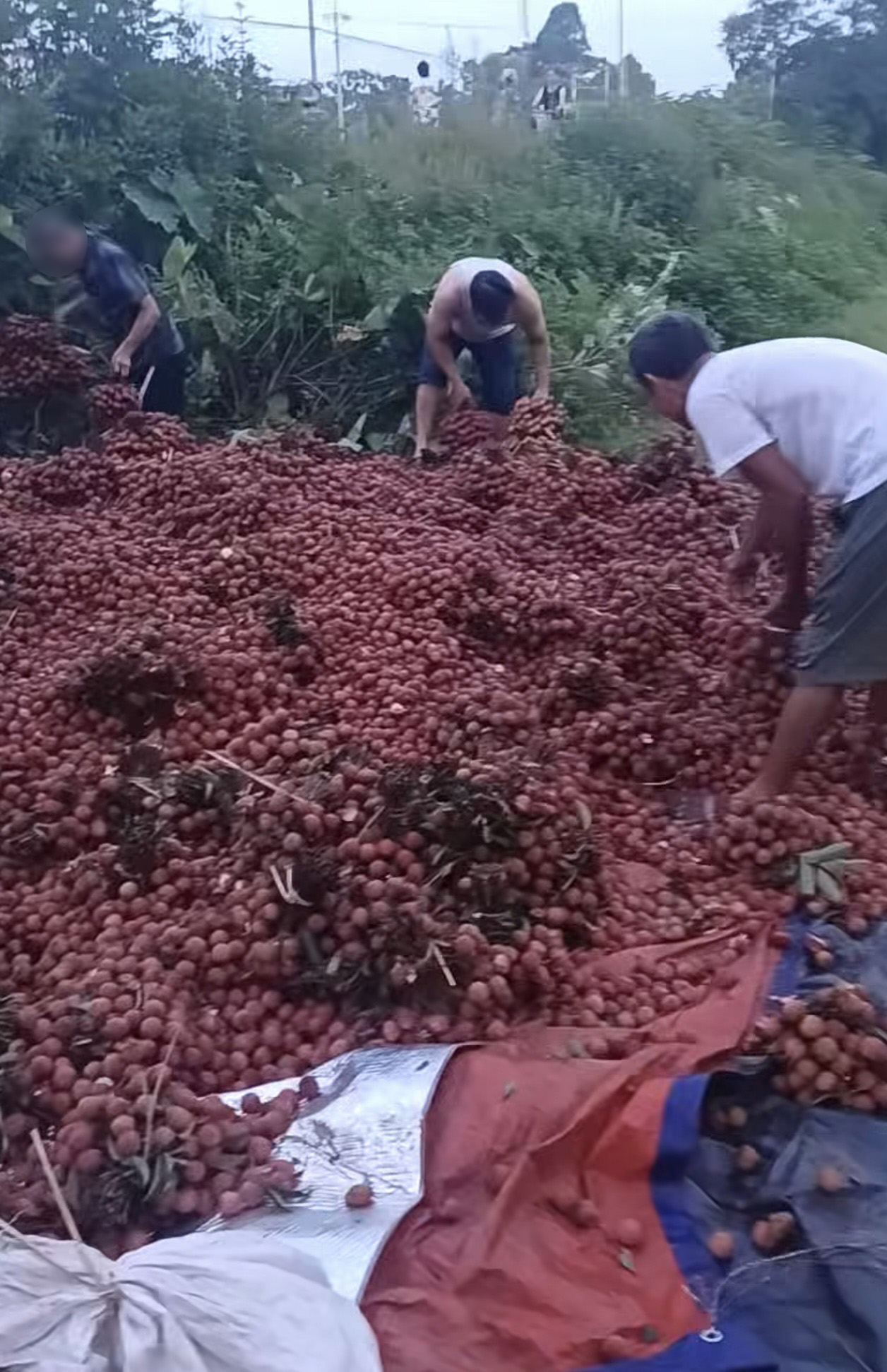Vụ xe vải lật bị người dân 