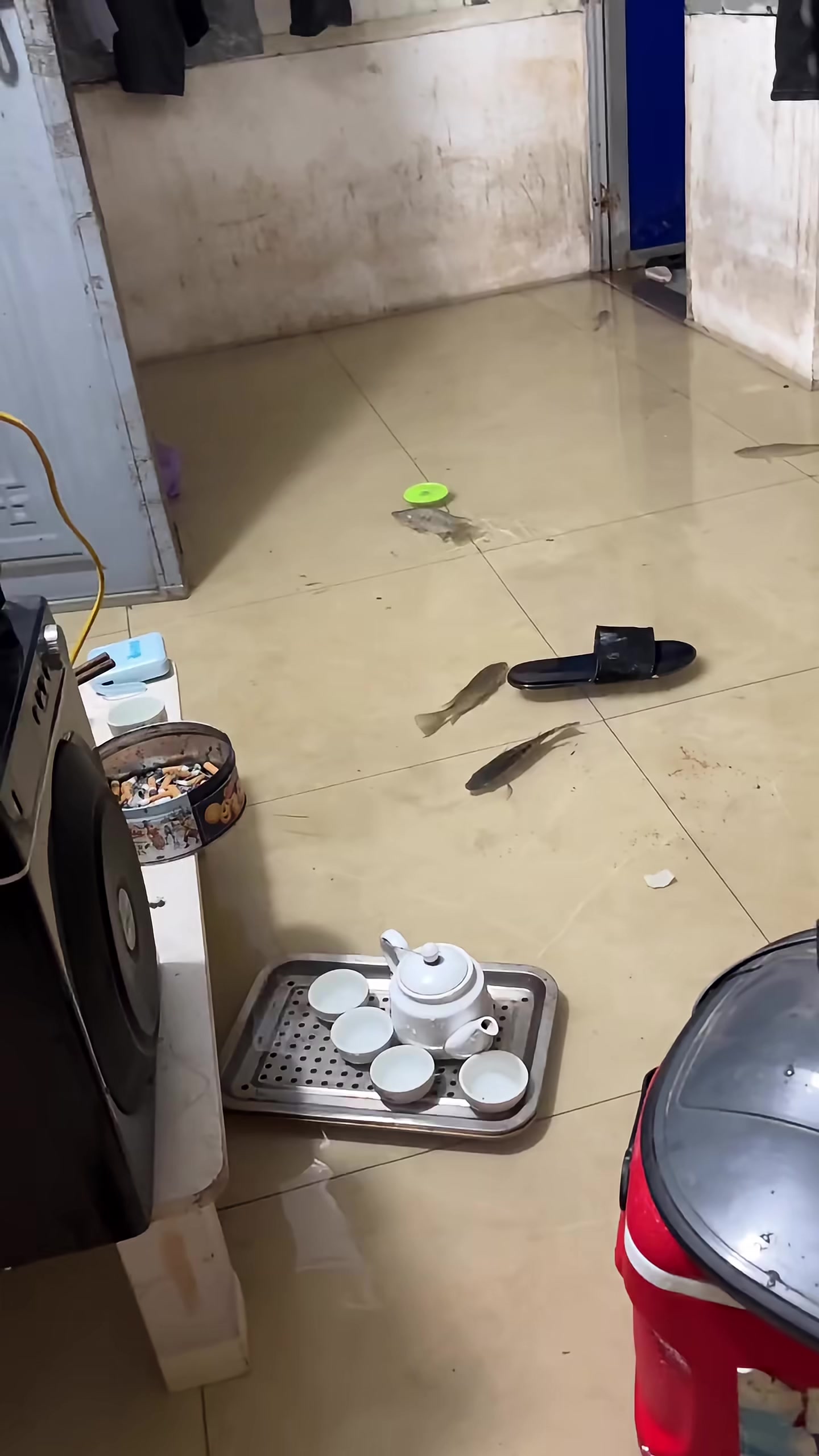 Video